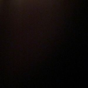 Meet your Posher, Dianna